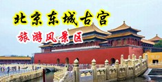 欧美操逼用力插好爽视频中国北京-东城古宫旅游风景区